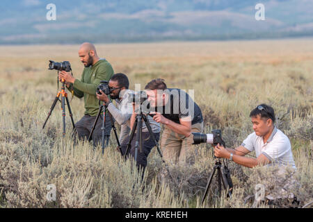 Groupe de jeunes photographes masculins configurer leur appareil photo numérique, Grand Tetons National Park, Wyoming, comté de Teton Banque D'Images