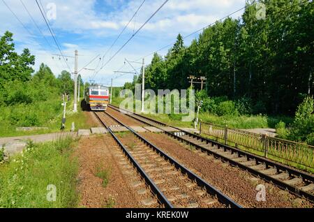 Les voies de train passer à la distance à travers l'épaisse forêt. Banque D'Images