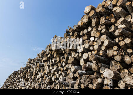 Gros tas de bois de sciage Banque D'Images