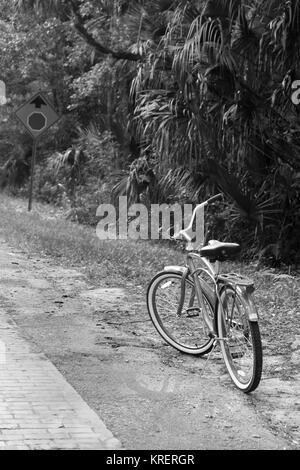 Avril 2016 - vélo de style américain classique à côté d'une route rurale en Floride, USA Banque D'Images