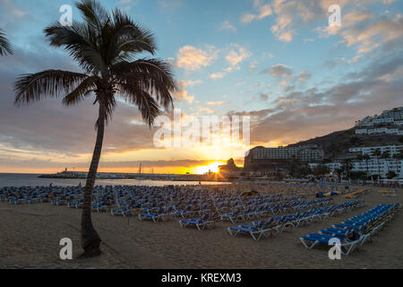 GRAN CANARIA, ESPAGNE - le 10 décembre 2017 : Palm tree et transats dans le coucher du soleil à la plage de Puerto Rico à Gran Canaria, Espagne. Canaries avait 13,3 millions de visiteurs en 2016. Banque D'Images