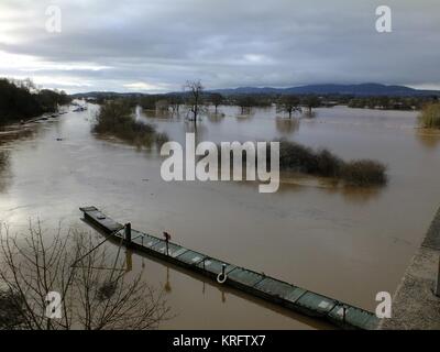 Inondations dans la région de Worcester, Worcestershire, en janvier et février 2013. De fortes pluies sur un certain nombre de semaines ont fait briser les rives des rivières. Banque D'Images