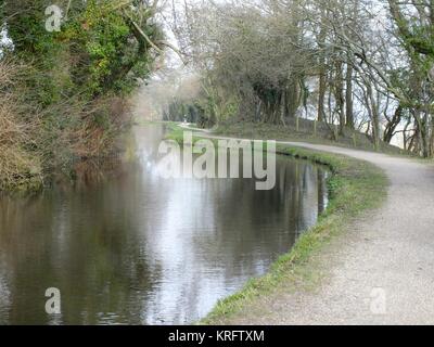 Inondation près du pont Squires, du Monmouthshire et du canal de Brecon, au sud du pays de Galles, en février 2013. Banque D'Images