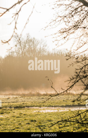 Mist rising de fondre le givre dans un domaine comme le soleil du matin réchauffe l'herbe, en hiver au Royaume-Uni. Banque D'Images