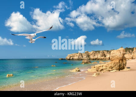 Les mouettes volent au-dessus de la plage d'or dans le sud du Portugal près de Albufeira Banque D'Images