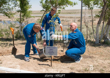 14-13-43 : à l'hôtel espace équipage cosmonaute à Baïkonour, Kazakhstan, ingénieur de vol de l'expédition 40/41 Alexander Gerst de l'Agence spatiale européenne (à droite) porte sur la plantation d'un arbre qui porte son nom le 21 mai dans les cérémonies d'avant-lancement. Aider Gerst commandant de Soyouz sont Max Suraev de l'Agence spatiale fédérale russe (Roscosmos, à gauche) et l'ingénieur de vol Reid Wiseman de la NASA (centre). Wiseman, Suraev et Gerst lancera le 29 mai, le kazakh, le vaisseau Soyouz TMA-13M depuis le cosmodrome de Baïkonour pour un 5 ½ mois mission sur la Station spatiale internationale. NASA/Vic Banque D'Images
