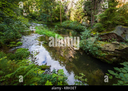 Kamnitz aussi Edmundsklamm paysage de la gorge et des sentiers de randonnée dans le quartier bohème de Suisse en République tchèque Hrensko Banque D'Images
