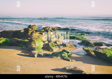 Les grands dépôts de calcaire couvert de mousse sur le rivage d'une plage. Côte Rocheuse. Banque D'Images