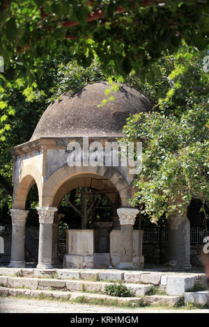 Le Centre de l'arbre Plan d'Hippocrate à Kos. Grèce Banque D'Images