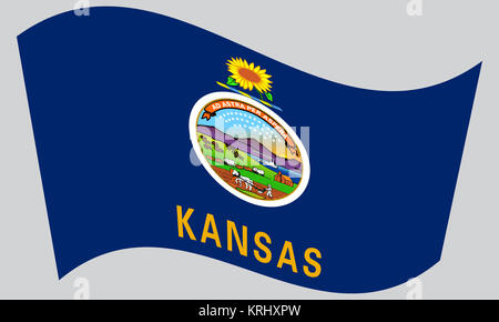 Brandissant le drapeau du Kansas sur fond gris Banque D'Images