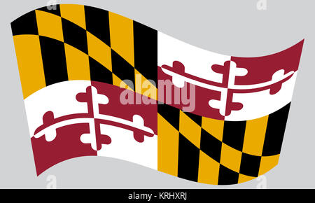 Brandissant le drapeau du Maryland sur fond gris Banque D'Images