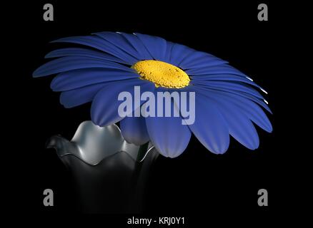 Gerbera bleu fleur en vase isolé sur noir 3d illustration Banque D'Images