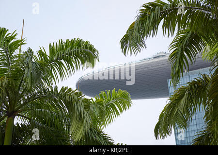 Marina Bay Sands Hotel SkyPark à Singapour et encadrée par des frondes de palmiers Banque D'Images