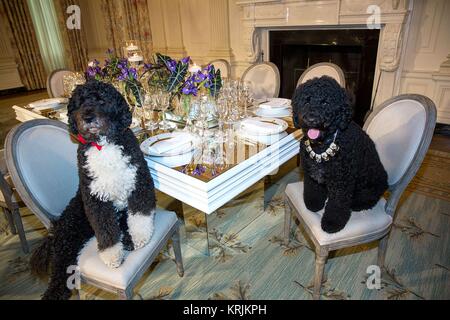 Le président des États-Unis, Barack Obama, chiens de famille Bo (à gauche) et ensoleillé s'asseoir à une table à la Maison Blanche à manger d'État le 10 février 2014 à Washington, DC. Banque D'Images