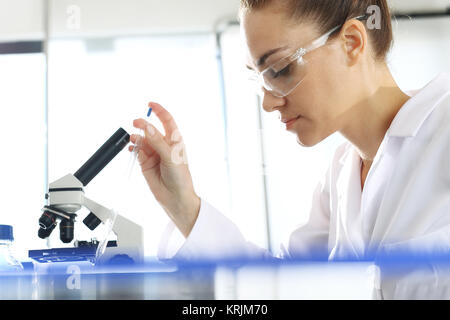 Le biotechnologiste examine les échantillons sous le microscope Banque D'Images