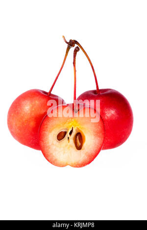 Paradis rouge pommes isolé sur fond blanc Banque D'Images