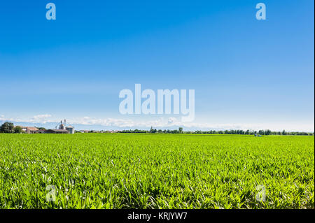 Paysage agricole Banque D'Images