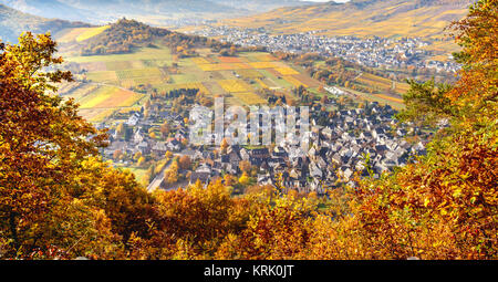 Vue détaillée sur les vignobles colorés de la Moselle en automne Banque D'Images