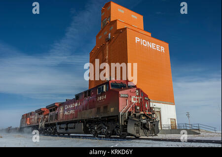 CP Rail Transport intermodal de marchandises southbound dirigé par loco 8604 passe old Pioneer ascenseur à Olds en Alberta Banque D'Images