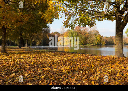 Le jardin anglais de Munich à l'automne Banque D'Images