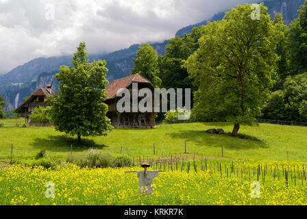 Épouvantail dans une prairie en face de farmbuildings dans le musée en plein air du Ballenberg près de Brienz en Suisse Banque D'Images