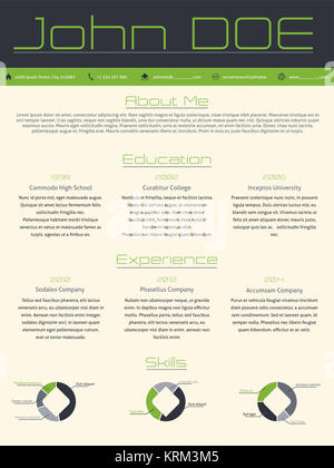 Curriculum vitae cv cv moderne dans les tons de gris vert Banque D'Images