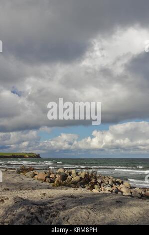 plage naturelle, groynes et mer baltique à boltenhagen, nord-ouest du mecklembourg Banque D'Images