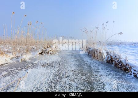 En hiver le lac Comana Banque D'Images