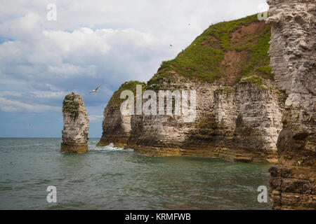 Flamborough North West ou Flamborough Head est une plage de sable et de galets située près de Bridlington dans Yorkshire, Angleterre Banque D'Images