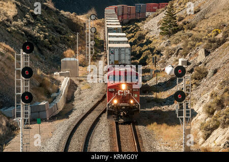 CP Rail en direction de l'est train intermodal dirigé par loco 8870 passe des signaux à Savona - le lac Kamloops BC Banque D'Images