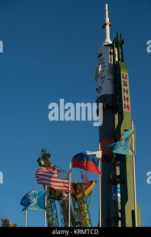 L'engin spatial Soyouz MS-02 est vu après avoir été relevée en position verticale sur la rampe de lancement, le dimanche, 16 octobre, 2016 au cosmodrome de Baïkonour au Kazakhstan. L'ingénieur de vol de l'expédition 49 Shane Kimbrough de NASA, commandant de Soyouz Sergey Ryzhikov de Roscosmos, et ingénieur de vol Andrey Borisenko de Roscosmos sont prévues pour le lancement depuis le cosmodrome de Baïkonour au Kazakhstan le 19 octobre. Crédit photo : NASA/Joel Kowsky) Déploiement de l'expédition 49 (AC201610160023) Banque D'Images