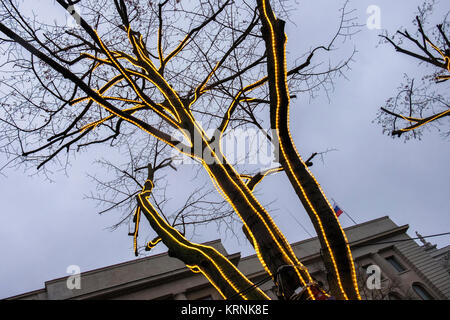 Berlin Mitte,Unter den Linden.les lumières de Noël sur les arbres bordant street Banque D'Images