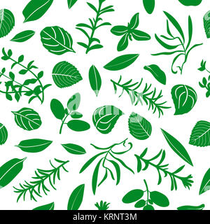 Herbes de Provence seamless pattern vector set Banque D'Images