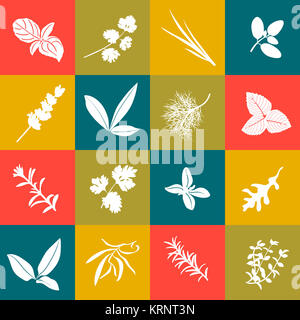 Les herbes hand drawn vector icon set carré grand Banque D'Images