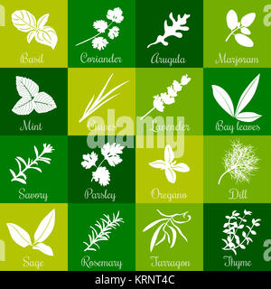 Les herbes hand drawn vector icon set carré grand Banque D'Images