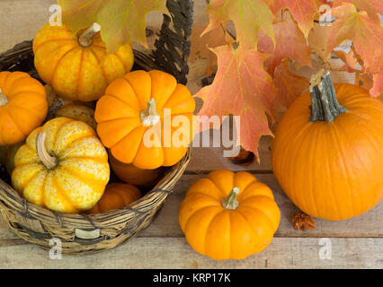 Citrouilles et courges avec des feuilles d'automne Banque D'Images