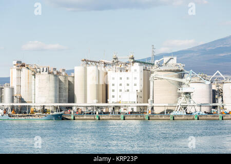 Fuji et l'usine de montagne Banque D'Images