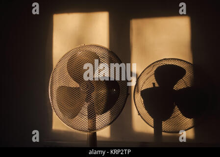 Tôt le matin, la lumière sur le ventilateur à l'ombre Banque D'Images