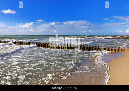 groynes sur la plage de la mer baltique près d'ahrenshoop Banque D'Images