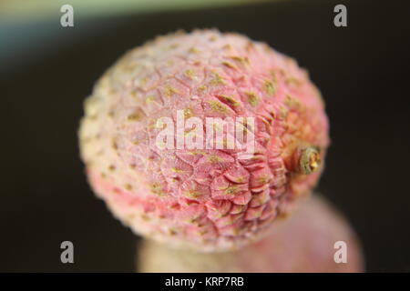 Close-up litchi Banque D'Images