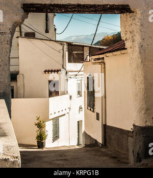 Ruelle pavée ombragée passe et arch et rencontre un soleil un. Un gros pot de fleur à l'intersection. Plusieurs lignes de la faire un modèle de bâtiments Banque D'Images