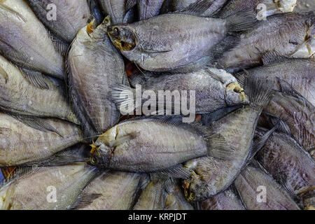 Le poisson salé au marché local dans le Delta du Mékong, au Vietnam. Banque D'Images