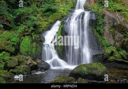 Cascades de Triberg Banque D'Images