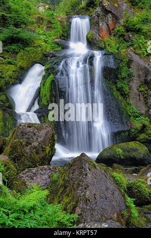 cascades de triberg 3 Banque D'Images