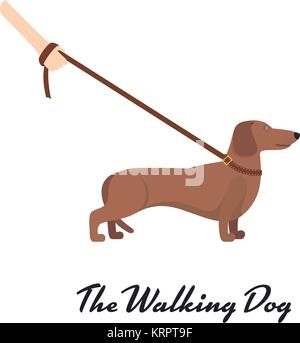 Race Teckel brun clair sur fond blanc Illustration de Vecteur
