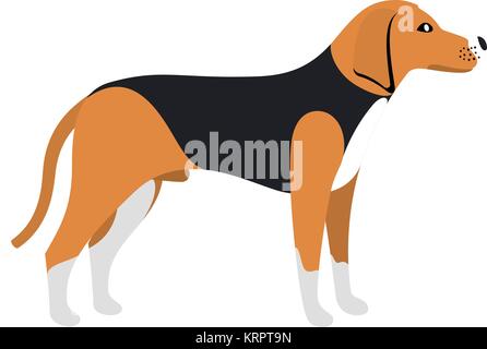 Chien Beagle - chien beagle graves couleur vecteur permanent race Illustration de Vecteur