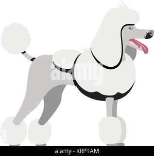 Vector couleur du grand blanc chien race caniche en selle anglaise ou continentale permanent clip Illustration de Vecteur