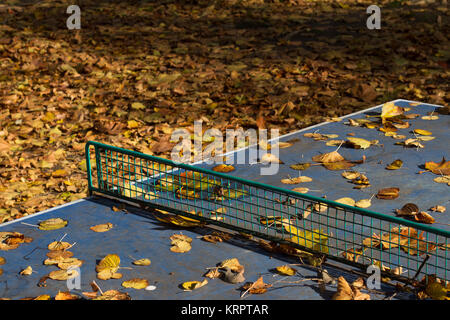 Table de ping-pong extérieure couverte dans les feuilles Banque D'Images