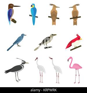 Ensemble de magnifiques oiseaux sur un fond blanc Illustration de Vecteur