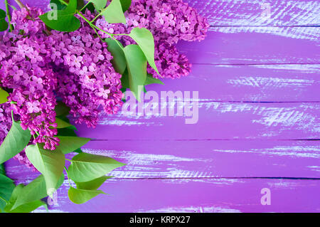 Direction générale de lilas lilas avec des feuilles vertes sur un fond de bois violet Banque D'Images